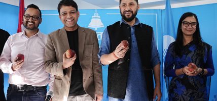 सरकारले कामको गति बढाउनुपर्ने रास्वपाकै निष्कर्ष